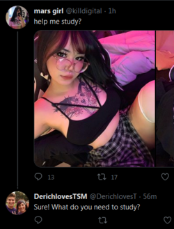 DerBear5.png
