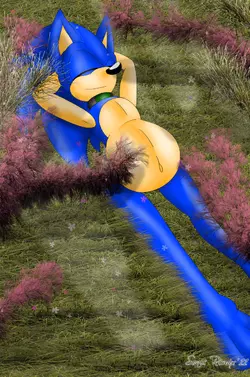 mpreg_sonic_sunning_by_sonicremix-d3c1m3h.png