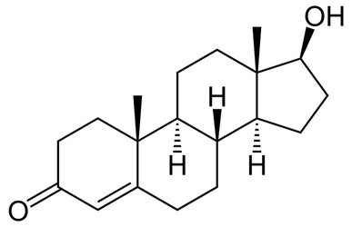 testosterone-molecular-diagram.jpg