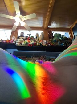 20210307_132155.jpg