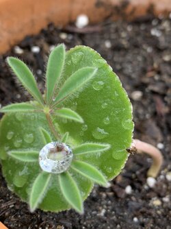 A9C96888-F5A3-49CD-A49C-762021B55069.jpeg