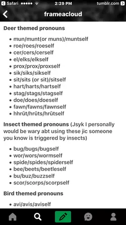 IMG_1349.PNG