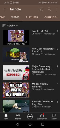 Screenshot_20210510_090525_com.google.android.youtube.jpg