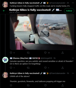 Screenshot_2021-05-18 Tweets with replies by Kathryn Gibes is fully vaccinated 💉 🏳️‍⚧️ ✨ ( Tra...png
