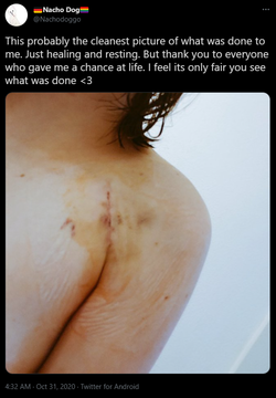 1621026388202.png