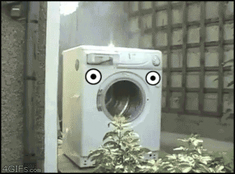 1619827206013.gif