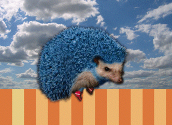 WSLf5.gif