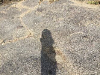 20210702_122813.jpg