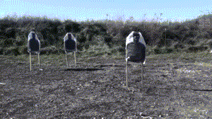 1410537680683.gif