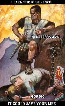 1626041809808.jpg