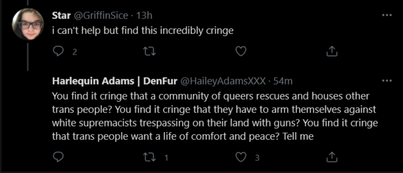 Screenshot 2021-08-03 at 17-52-46 Tweets with replies by Harlequin Adams DenFur ( HaileyAdamsX...png