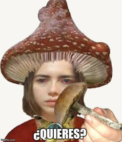5j2zba.jpg