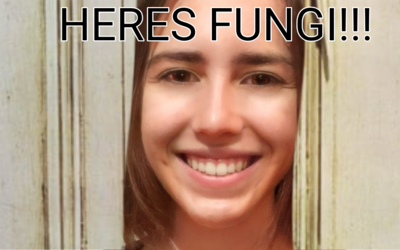 Untitled13_20210807133318.png