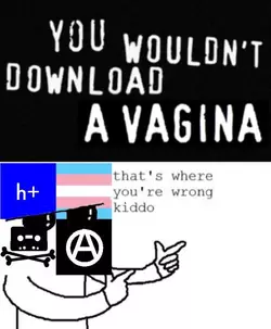 8u6n2wyls89z.jpg