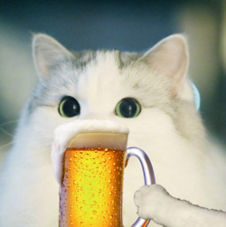 1619411906599.png
