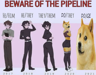miko9aqre7f71.png