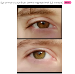1630160426199.png