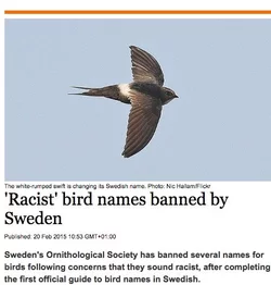 1431529407948-1.jpg
