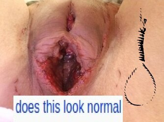 e799dc7365f4a43aafd10e9d585bfa9b05c82bc1.jpg