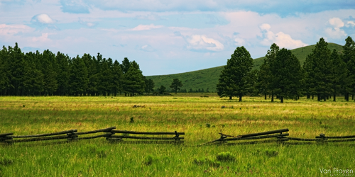 at_the_foot_of_the_meadow.jpg