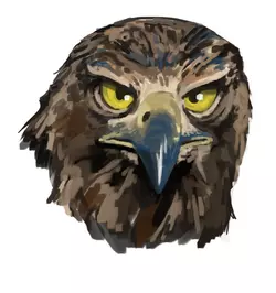 IMG_3977.PNG