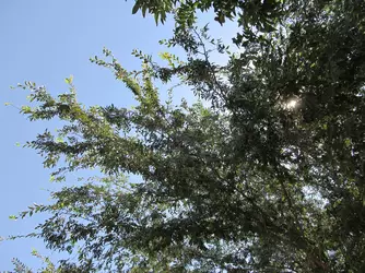 2017-08-20 23.04.39.jpg
