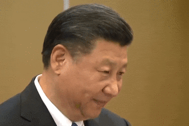 XiPing Laugh.gif