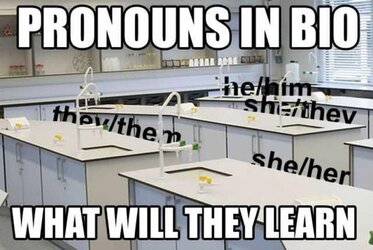 EhMo0ODXgAAUi7n.jpeg