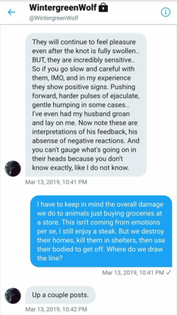 wintergreenwolfdms02.png