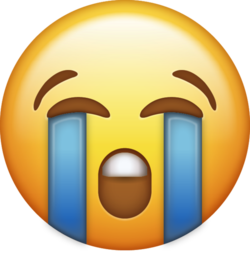1637170489935.png