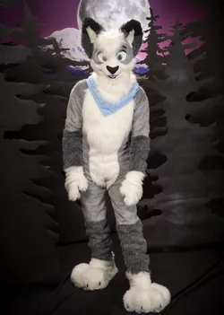 1385883915.nuzzcat_0708.jpg