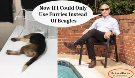furfauci.png