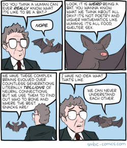 smbc_bat.png