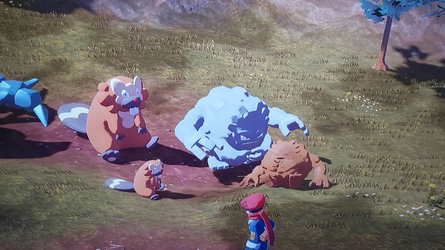 pla poke sizes.png