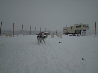 83708568-13E9-43C6-B5B8-481560968E2F.jpeg