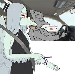 zVolcanohigh.253.jpg