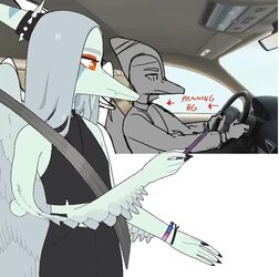 zVolcanohigh.632.jpg