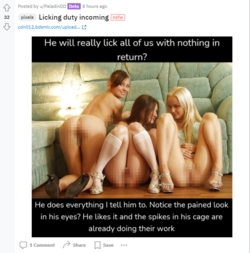 1645563449015.png