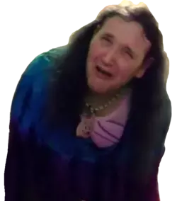 AngryGayPenguin.png