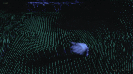 B27D9EFF-CDD7-48BC-9654-810BCB96BE86.gif