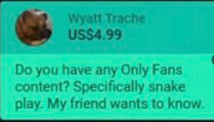 paypig1.JPG