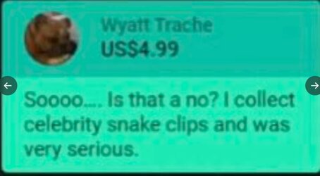 paypig2.JPG