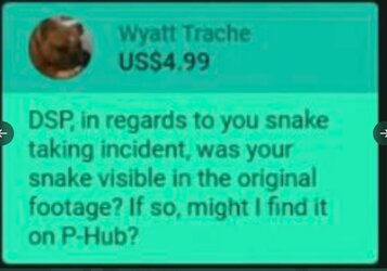 paypig3.JPG