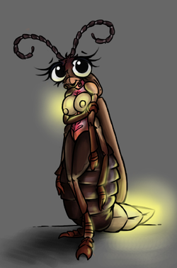 firefly.jpg