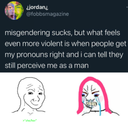 1628878388893.png