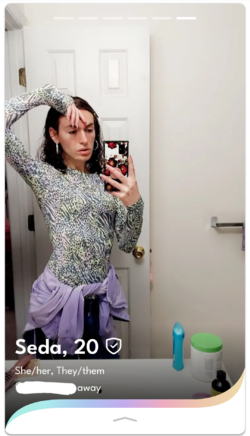 seda_06.png