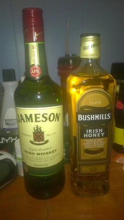 WP_20150316_001.jpg