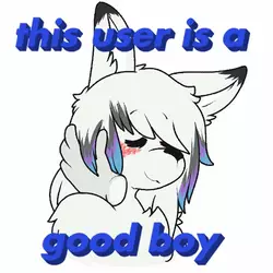 chase.jpg