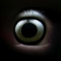 eyes8.jpg