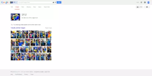 screencapture-www-google-com-search-1435358606733.png